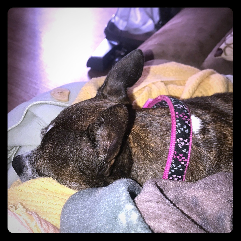 Hi Sophie girl.